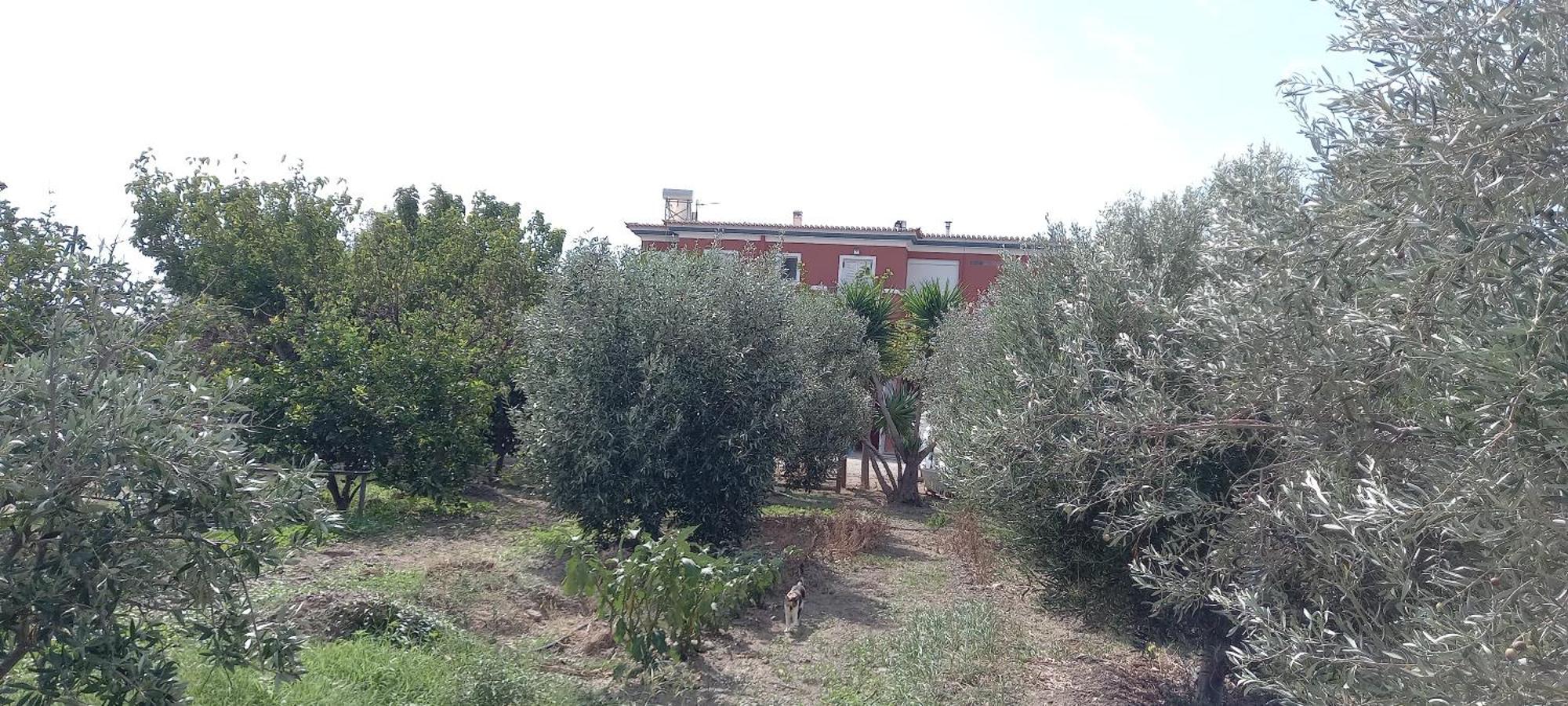 Ktima Develekou Pigadhia (Argolis) Exterior foto
